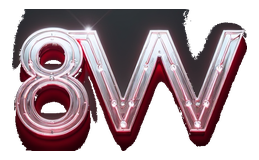 8vv logo